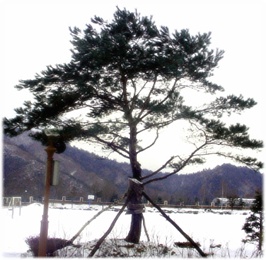 2010-08-16 23;06;31.jpg